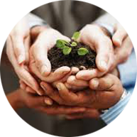 CSA farm ecommerce and online ordering