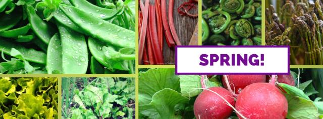 Spring Seasonal Vegetable Collage in Nova Scotia